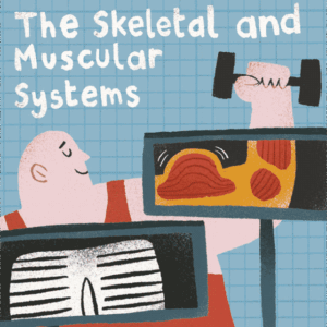 Yoto Audio Card - The Human Body: The Skeletal and Muscular Systems