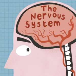 Yoto Audio Card - The Human Body: The Nervous System