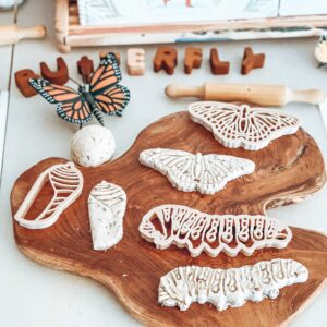 Kinfolk Pantry Butterfly Life Cycle Eco Cutter Set