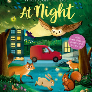 What Can You See at Night?