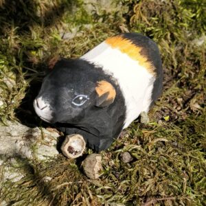 Wudimals® Guinea Pig