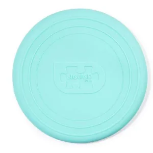 Bigjigs Flexible Flyer Eggshell Green