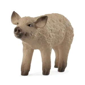 Schleich Mangalica Piglet