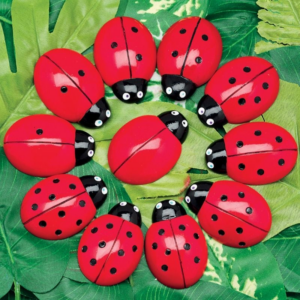 Yellow Door Ladybug Counting Stone