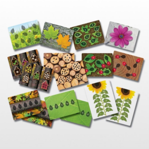 Yellow Door Lady Bug Number Cards