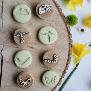 Curiosity Corner Oak Stamps - Butterfly Life Cycle Set