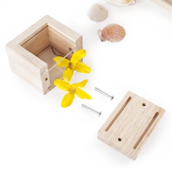 Guidecraft Treasure Blocks Clear - Image 6