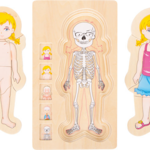Small Foot Layer Puzzle Anatomy Girl
