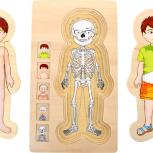 Small Foot Layer Puzzle Anatomy Boy