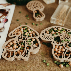 Kinfolk Pantry Mushroom  Eco Cutter Set