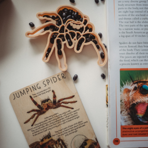 Kinfolk Pantry Jumping Spider Eco Cutter