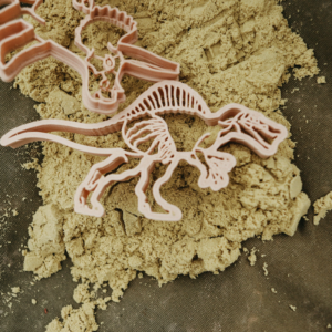 Kinfolk Pantry Spinosaurus Dinosaur Eco Cutter