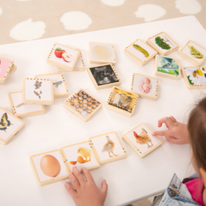 TickiT Wooden Lifecycle Tiles - Pk24