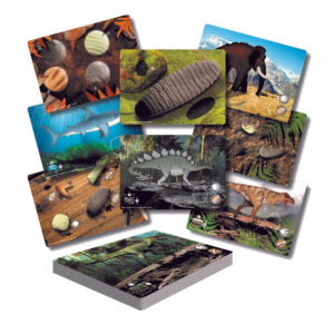 Yellow Door Let’s Investigate – Prehistoric Teeth Activity Cards