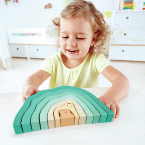 Hape Arctic Polar Bear Stacking Blocks
