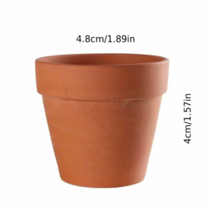 Small Ceramic Plant Pots x2