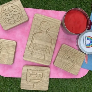 The Human Body Sensory Boards Oak - Set of 5