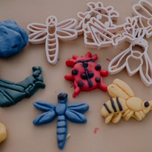 Kinfolk Pantry Mini Insects Eco Cutter Set