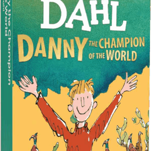 Voxblocks Danny the Champion of the World