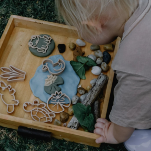 Kinfolk Pond Life Eco Cutter Set
