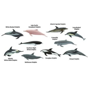 Safari Ltd Dolphins TOOB®