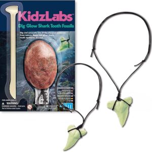 KidzLabs - Dig Glow Shark Tooth Fossils