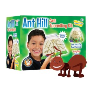 Insect Lore Ant Hill