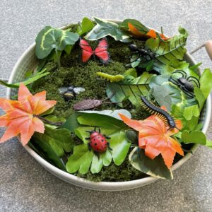 Insects Tray Bundle