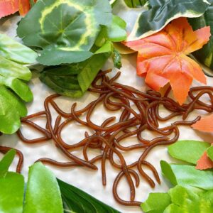Artificial Worms x 30