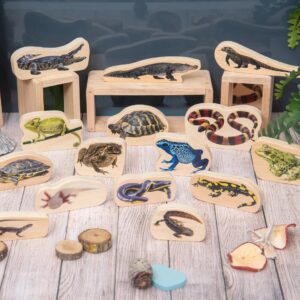 Tickit Wooden Reptile & Amphibian Blocks