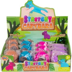 Stretchy Capybara Fidget Toy