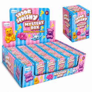 Sugar Squishy Mystery Box Fidget Toy